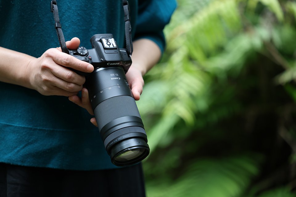 image_processing20250429-9-k0repj