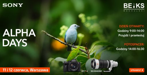 wildlife_1920x980